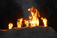 В ЦПКиО сожгли чучело зимы, Фото: 24