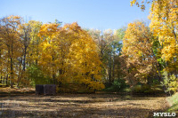 Золотая осень в Ясной Поляне, Фото: 6
