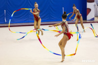 В Туле стартовало первенство Центрального федерального округа по художественной гимнастике, Фото: 7