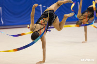 В Туле стартовало первенство Центрального федерального округа по художественной гимнастике, Фото: 69