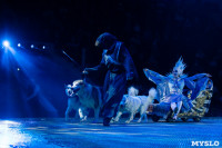 Шоу фонтанов «13 месяцев»: успей увидеть уникальную программу в Тульском цирке, Фото: 143