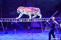 Цирковое шоу, Фото: 125