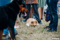 Всероссийская выставка собак в Туле, Фото: 93