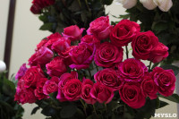 Ассортимент тульских цветочных магазинов. 28.02.2015, Фото: 57