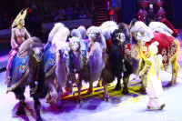 Грандиозное цирковое шоу «Песчаная сказка» впервые в Туле!, Фото: 48
