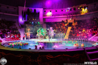 Цирк на воде «Остров сокровищ» в Туле: Здесь невозможное становится возможным, Фото: 142