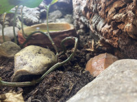 , Фото: 55