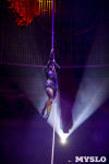 Шоу фонтанов «13 месяцев» в Тульском цирке – подарите себе и близким путевку в сказку!, Фото: 7