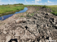В этом году в Тульской области начали расчистку русел еще трех рек, Фото: 3