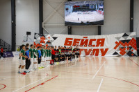 ТЗМС - Алюминика, Фото: 1