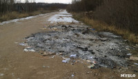 Столичный мусор в Тульской области, Фото: 1