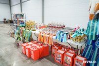 Сиба-ину, шпицы и алабаи: в Туле состоялась выставка собак, Фото: 34