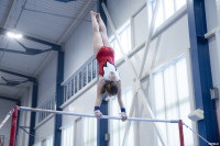 Всероссийские соревнования по спортивной гимнастике, Фото: 17