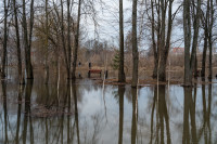 В Туле затопило Баташевский сад, Фото: 15