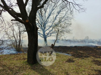 В Туле загорелось поле, Фото: 25