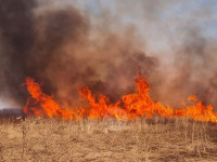 В Федоровке огонь с горящего поля едва не перекинулся на дома, Фото: 19