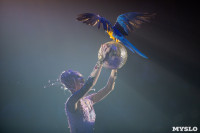Шоу фонтанов «13 месяцев»: успей увидеть уникальную программу в Тульском цирке, Фото: 48