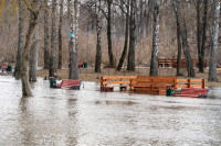 В Туле затопило Баташевский сад, Фото: 1