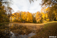 Золотая осень в Ясной Поляне, Фото: 79