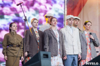 Праздничный концерт и салют Победы в Туле, Фото: 44