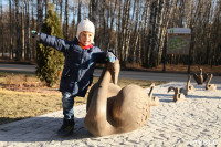 Открытие скульптуры "Лебединое озеро" в Центральном парке, Фото: 16