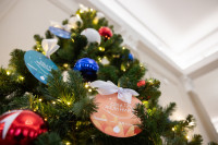 «Доброволец года»: в Туле наградили лучших волонтеров региона, Фото: 19