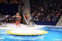 Цирк на воде «Остров сокровищ» в Туле: Здесь невозможное становится возможным, Фото: 90