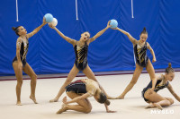 В Туле стартовало первенство Центрального федерального округа по художественной гимнастике, Фото: 34