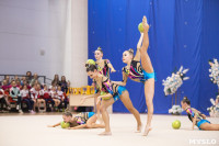 Соревнования по художественной гимнастике на призы благотворительного фонда «Земляки», Фото: 51
