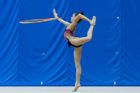 Художественная гимнастика, Фото: 33