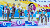 Тула провела крупный турнир по художественной гимнастике, Фото: 15