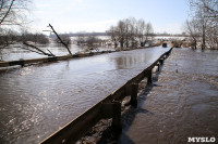 В Щекинском районе затопило мост, Фото: 28