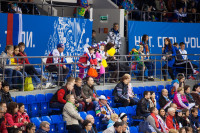 Женский хоккейный матч Канада-Финляндия. Зимняя Олимпиада в Сочи, Фото: 20