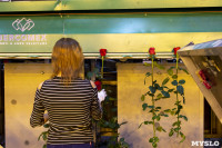 Миллион разных роз: как устроена цветочная теплица, Фото: 43