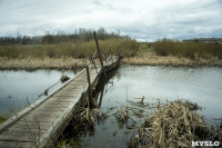 В реке Чернь погибла рыба, Фото: 20