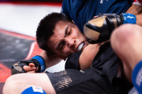 В «Тула-Арене» состоялись областные соревнования по ММА, Фото: 123