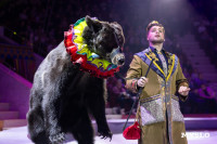 Цирковое шоу Жар птица, Фото: 13