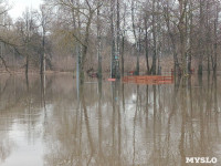 Тулица затопила Баташевский сад, Фото: 7