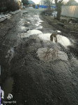 Самые убитые дороги Тулы, Фото: 1