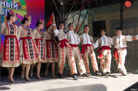 Яркие краски «Национального калейдоскопа»: в Туле прошел фестиваль национальных культур, Фото: 12