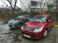 Штормовой ветер в Тульской области валил деревья, заборы и повредил крыши, Фото: 20