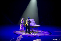 Шоу фонтанов «13 месяцев» в Тульском цирке – подарите себе и близким путевку в сказку!, Фото: 18