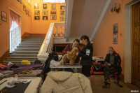 Выставка собак в Туле, Фото: 45