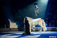Премьера новогоднего шоу в Тульском цирке, Фото: 98