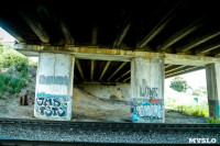 Рейд Myslo: в каком состоянии Тульские мосты, Фото: 53