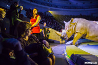 Туляков приглашают на новогоднее представление «Ёлка в цирке», Фото: 67