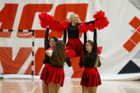 ТЗМС - Алюминика, Фото: 123