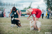 Всероссийская выставка собак в Туле, Фото: 76