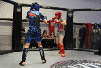 В Новомосковске прошел Чемпионат и Первенство Тульской области по ММА, Фото: 125