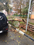 В Заречье на припаркованный автомобиль упало дерево, Фото: 11